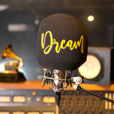 Dream in yellow and purple written on the side of iso vocal booth for live and studio performances